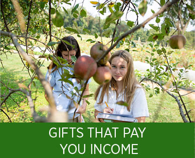 Students studying an apple tree. Gifts That Pay You Income. 